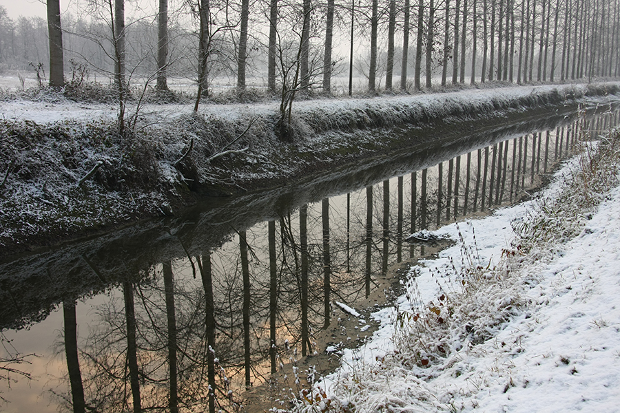 Canale Subdiramatore Pavia
Foto di Alessandro Vecchi (CC-BY-SA)