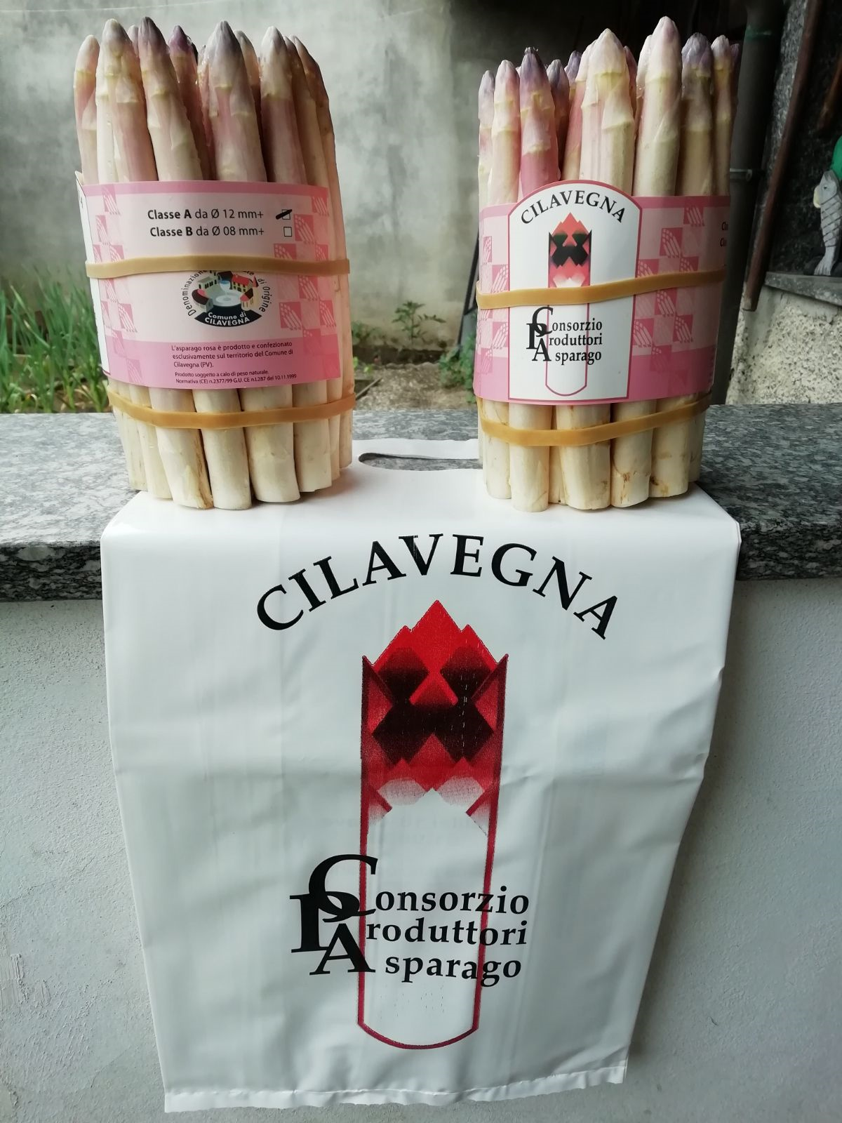 Con.P.A.C.
Riferimenti Consorzio Produttori Asparagi Cilavegna
Campana Gianpiero - Responsabile alla vendita - Cell. 328.4533384
